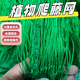 B植物爬藤網(wǎng)攀爬網(wǎng)搭架絲瓜黃瓜豆角菊花網(wǎng)園藝花網(wǎng)百香果種植網(wǎng) 【包邊】1.5米寬5米長 送扎帶 簡單上手易操作園藝爬藤新神器