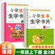2025春小學(xué)生生字卡片一二三年級上下冊 課堂同步識字拼讀訓練詞語(yǔ)手冊漢字拼音識字RY 【一年級上冊+下冊】小學(xué)生生字卡片