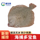 鮮又來(lái)多寶魚(yú)比目魚(yú)海鮮鮮活冷凍新鮮石斑魚(yú)深海魚(yú)鮮活鰈魚(yú)海鮮魚(yú) 350g 每條 簡(jiǎn)裝 2條