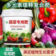 蔬菜專(zhuān)用肥有機(jī)肥瓜果綠植黃瓜西紅柿辣椒顆粒復(fù)合肥蔬菜農(nóng)用種菜 1盒500g有機(jī)肥