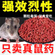 霹靂鼓高效老鼠藥滅鼠顆粒驅(qū)鼠捕鼠耗子藥劇毒家用室外耗子捕鼠殺鼠劑 【強力速殺型】滅鼠劑三包