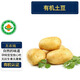有機土豆5斤 有機認證無農(nóng)殘 露天現(xiàn)挖新鮮土豆蔬菜健康美味營養(yǎng) 有機土豆5斤
