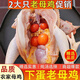 果鮮島 2只大老母雞農家散養(yǎng)土雞走地雞 新鮮整只雞草笨雞肉 老母雞 2只裝 共5斤