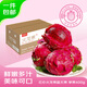 京鮮生 廣西樹熟紅心火龍果4.5斤裝單果400g  生鮮水果 源頭直發(fā)