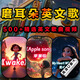 早教磨耳朵兒童英文歌曲動(dòng)畫(huà)U盤(pán)少兒?jiǎn)⒚绍?chē)載音樂(lè )優(yōu)盤(pán)學(xué)英語(yǔ)神器 套餐五：包含套餐一至四所有內容