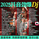 2025抖音新勁爆新歌DJ動感重低音嗨曲車載音樂U盤MP3/4高音質優(yōu) 【1400首200視頻】勁爆重低音DJ
