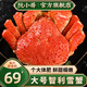 阮小哥熟凍智利雪蟹大閘蟹鮮活螃蟹海鮮整只大鱈蟹水產(chǎn)冷凍腿大螃蟹 300g【鮮活熟凍】1只*300-400g