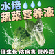 水培蔬菜營養(yǎng)液種菜專用無土栽培果蔬陽臺種生菜瓜果草莓通用肥料 1瓶【水培瓜果蔬菜專用】