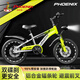 鳳凰（Phoenix）兒童自行車鳳凰自行車3-6歲兒童單車小孩自行車6-10歲兒童自行車 16寸標(biāo)配綠丨輻條輪+側(cè)支撐+禮包