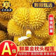 歐因泰國金枕榴蓮整個(gè)果新鮮老樹(shù)整箱帶殼進(jìn)口榴蓮A果一整個(gè)鮮果 金枕榴蓮凈重3-4斤【包3-5房】 精選果