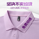 訊印衣純棉t恤定制夏季工作服印logo短袖訂做POLO衫公司文化衫團(tuán)建繡字 淺紫色 XL