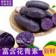 黑土豆新鮮小土豆農(nóng)家烏洋芋馬鈴薯黑金剛紫色土豆農(nóng)家蔬菜黑美人 黑土豆9斤