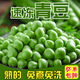 顆蜜 顆蜜食品青豆粒甜豌豆速凍輕食商用家用當(dāng)季新鮮焗飯炒飯配菜 青豆粒500克*1袋