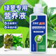 貝意品綠蘿專用營(yíng)養(yǎng)液水培植物綠植花卉盆栽吊蘭防黃葉養(yǎng)花通用型葉面肥