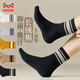 貓人5雙裝中筒男士襪子男夏季棉質(zhì)透氣條紋撞色舒適休閑商務(wù)襪 均碼