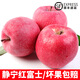 柏果瑞【順豐快遞】甘肅靜寧蘋果 蘋果水果  時(shí)令蘋果新鮮水果禮盒 85-90mm特大果24枚（凈重13斤）