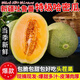 正宗新疆哈密瓜10斤新鮮水果當季冰淇淋蜜瓜脆甜蜜香瓜哈密瓜包郵 3斤 限時活動價