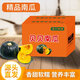 田心貝樂(lè )惠和貝貝南瓜 單果300g+  3斤 1號會(huì )員店 源頭直發(fā)