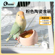 高能鸚鵡鸚鵡陶瓷食碗幼鳥(niǎo)學(xué)吃防濺防撒鳥(niǎo)食罐食盒玄鳳防打翻鳥(niǎo)籠配件用品 小號粉色陶瓷食碗