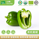 有機匯有機青椒 柿子椒菜椒燈籠椒 有機蔬菜無農(nóng)殘 應季種植 新鮮采摘 500g