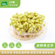 有機匯 豆芽菜 新鮮黃豆芽 新鮮蔬菜 孕產(chǎn)食材 產(chǎn)地直發(fā) 250g