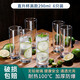 青蘋(píng)果玻璃杯家用杯子水杯套裝客廳啤酒杯家庭透明耐熱客人喝水茶杯 直身杯290ml6只