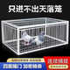 鳥(niǎo)捕捉神器全自動(dòng)室外天落籠撞門籠捕捉抓收鴿子加密款戶外收捕鴿 60*40*26兩進(jìn)口