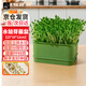 九千谷育苗盆芽苗菜盤種植發(fā)芽盆發(fā)豆芽神器黃綠豆芽無土栽培水培盤3918