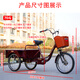 飛鴿飛鴿牌老年三輪車(chē)老人腳蹬小型自行車(chē)成人腳踏車(chē)可拉貨人力三輪車(chē) 70斗雙抱閘減震車(chē)叉雙鏈條