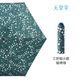 天堂傘口袋膠囊超輕小便攜碎花黑膠防曬遮陽傘太陽傘晴雨傘女 秘林綠-超輕三折鉛筆傘
