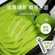 初透抹茶冰淇淋GELATO意式冰淇淋3號超濃抹茶鮮奶冰淇淋600克/盒