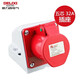 德力西電氣（DELIXI ELECTRIC）航空插頭插座耦合器連接器 DEP2-125 32A 5芯 415V工業(yè)用明裝插座