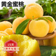 歐悟 黃桃樹(shù)苗 特大嫁接錦繡黃桃苗黃肉桃樹(shù)桃苗南北方盆栽地栽果樹(shù)苗 2年苗好成活