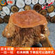斯庭閣木頭根雕凳子原木根雕底花盆根雕杉木凳原木墩子花架盆景底座木樁 訂做尺寸請聯(lián)系商家