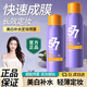 OUBOKASI定妝噴霧持久清爽快速成膜不易脫妝耐水耐汗女干皮油皮保濕定妝液 美白補水定妝噴霧1瓶