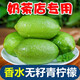 香水無籽青檸檬海南新鮮水果現(xiàn)摘頭一級皮薄小青檸奶茶店專用 5斤【暑期購王炸】 品質果王
