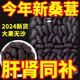 阡畝良茗新疆大果桑葚干果500g黑桑甚子黑桑椹干特級枸杞泡水茶男補腎強身 桑葚500g/罐*5罐【泡酒】