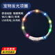 米聆狗狗發(fā)光項圈 寵物狗LED燈項圈 USB充電 夜間發(fā)光遛狗項圈 金毛 七彩L碼頸圍25-70cm（可裁剪）
