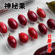 物鮮仙子神秘果12粒鮮果果干水果神奇果變味果應當季酸變甜稀罕見(jiàn)鮮果 0g 果干4?！舅蜋幟势? title=