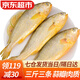 往牧 黃花魚(yú) 500g一條 活凍大黃魚(yú) 生鮮魚(yú)類(lèi) 海鮮水產(chǎn) 燒烤食材 3條裝 500g*3條（共1500g）