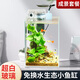 西游水族創(chuàng)意生態(tài)魚缸超白造景懶人微景觀DIY室內(nèi)客廳迷你生態(tài)瓶免換水 長18*寬18*高22-石林款造景全套