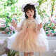 安妮優(yōu)兒（Anneyol）女童春秋季艾莎公主裙2025新款兒童小女孩蓬蓬紗蛋糕裙愛(ài)莎連衣裙 粉紅色 130
