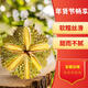 泰優(yōu)樾正宗泰國進(jìn)口金枕榴蓮鮮果 香甜軟糯新鮮現摘水果 9年榴蓮供應鏈 【順豐】金枕榴蓮2.5-3斤