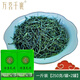萬茗千襄綠茶2025年新茶葉湖北襄陽?？得飧呱侥廴~芽春茶濃香型云霧茶 25年保康毛尖500克(2罐)