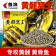 范緹思2025新款黃顙窩王釣黃顙魚(yú)黃辣丁昂公昂刺黃刺魚(yú)黃骨窩料濃腥味打 (3包)黃顙魚(yú)500g/包