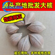 CEENIU胖東來品質(zhì)橄欖核原籽原料羅漢料文玩手串圓核紅油核單籽核雕觀音 原籽規(guī)格尺寸1.9 (20顆價(jià))