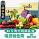 【順豐到家】蔬菜套餐禮盒 山東壽光時令蔬菜送禮蔬菜 10斤【特色菜】禮盒 精選