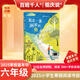 【現(xiàn)貨包郵】2025祖慶說百班千人六年級 五升六 全國小學(xué)生寒暑假閱讀課外書 百班千人暑期書目 狐貍半蹲半走每天做一件正確的事古里古怪草原求生的流浪貓草原求生的流浪貓有許多窗戶的房子豆蔻年華磨坊之心 