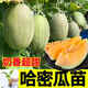 山東壽光高產(chǎn)超甜哈密瓜秧苗新疆網(wǎng)紋瓜苗香瓜甜瓜苗四季水果種子 哈密瓜甜瓜苗5棵+送1棵+1包肥