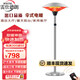 雷仕德朗（ROSTDL）傘型取暖器碳纖維電暖器客廳家用餐廳酒店大堂戶外取暖烤火爐傘形室外取暖爐大型傘式電暖 2100w 立式升降遙控版/銀色